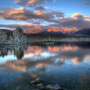 Meet your Posher, Phillip